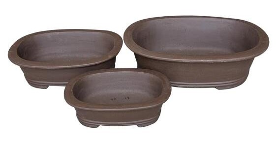 Bonsai Pots -- Indoor Ceramic Pottery 