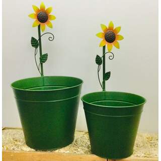 Green Planter w/sunflower Bucket Set 